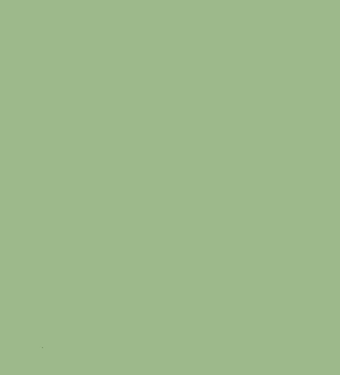 QTM-S05 appearance reference showing a muted green field